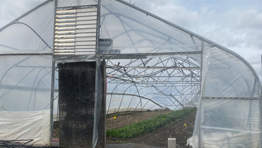 Hoophouse with tornado damage