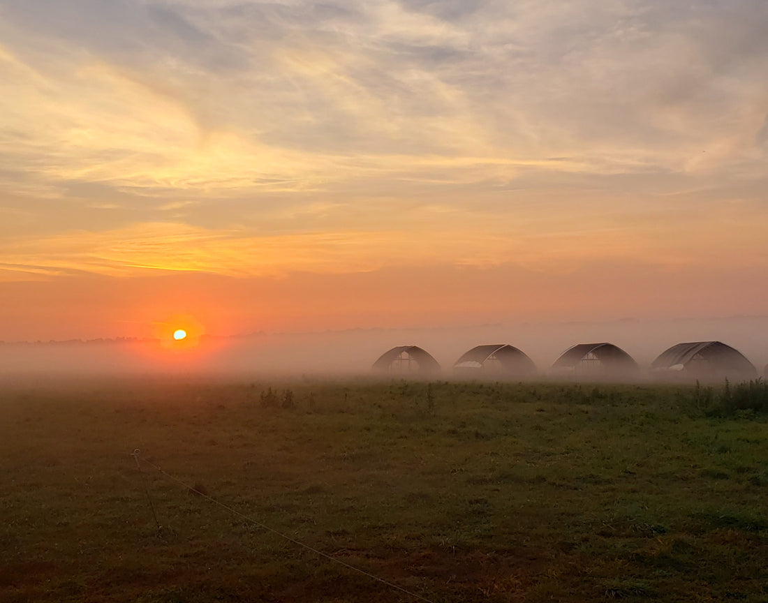 Friday Farm Update - Finally Some Rain + Corn Chowder
