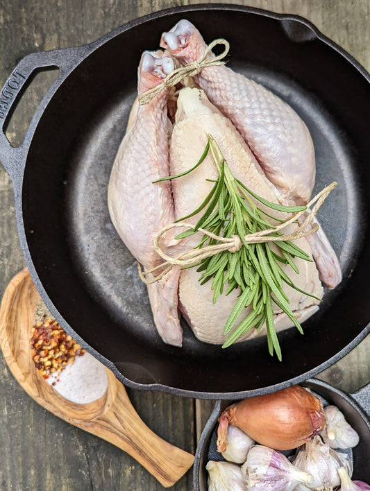 no corn and no soy pasture raised chicken