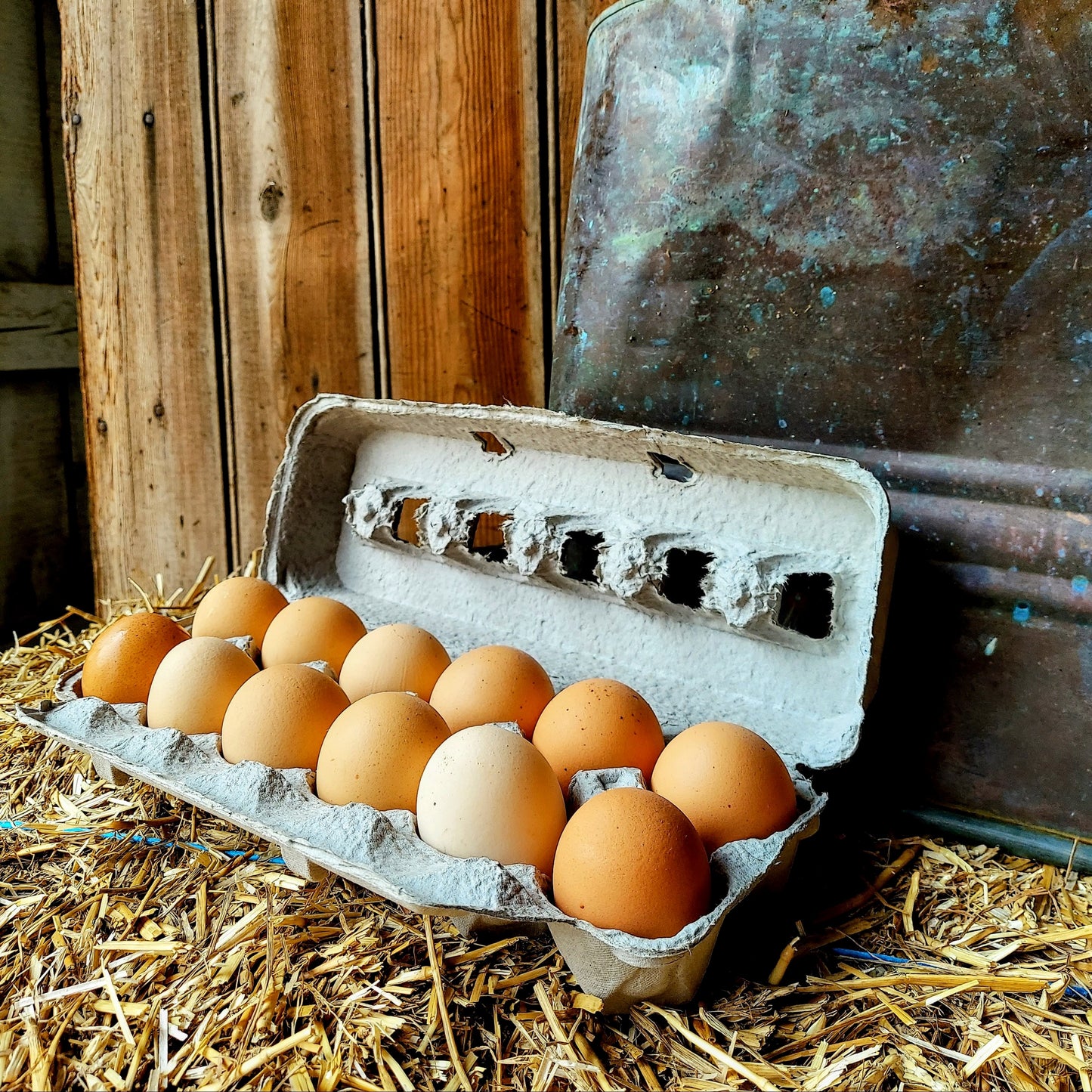 Pasture Raised Organic Large Eggs - No Corn / No Soy - 4 dozen bundle