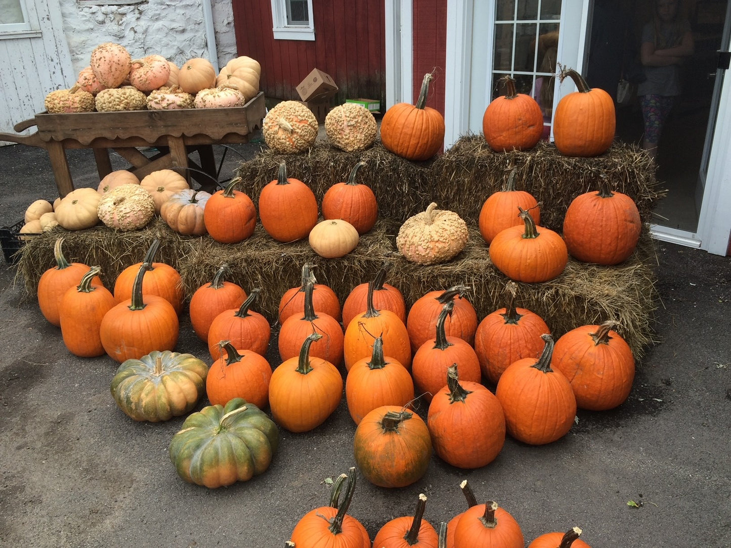 Fall Festival on the Farm