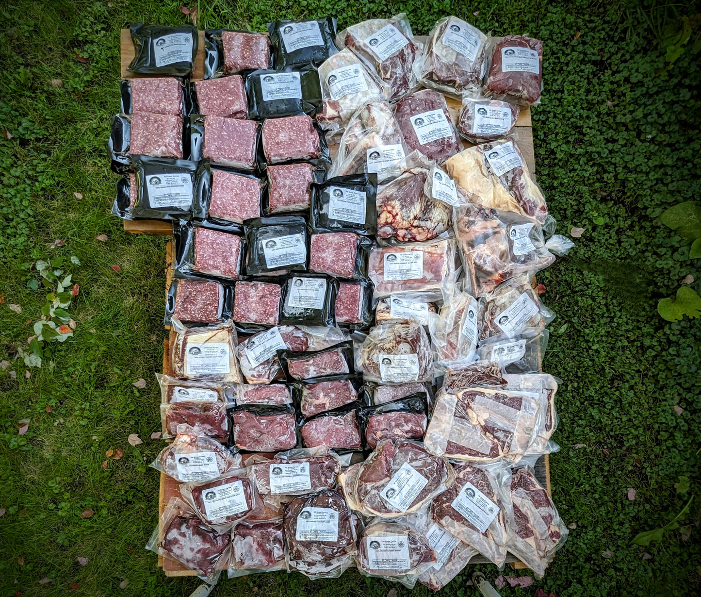 grassfed and grass finished dry aged quarter beef to fill your freezer
