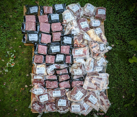 grassfed and grass finished dry aged quarter beef to fill your freezer