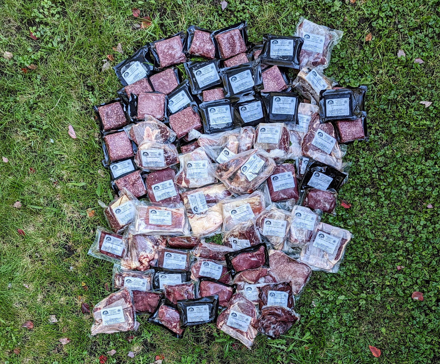 grass fed and grass finished dry aged beef quarter to fill your freezer