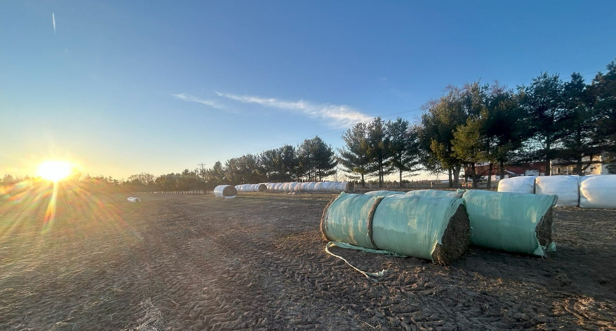 Dwindling Hay Supplies, Down at the Farms, Meet Fisherman Mark – All ...