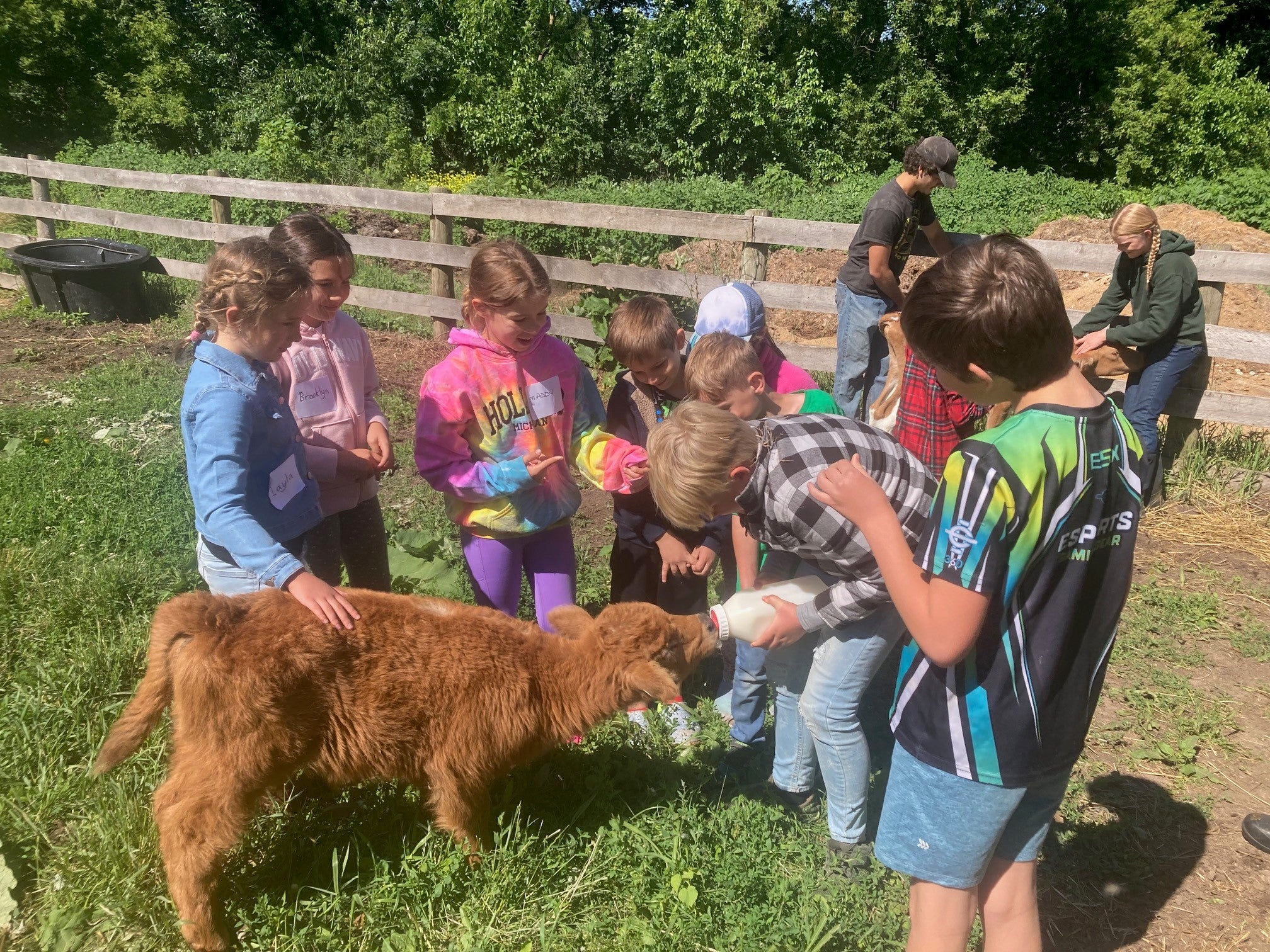 June Farm Update - Plentiful Eggs, Farm Camps, Chicken is Back & Bone ...