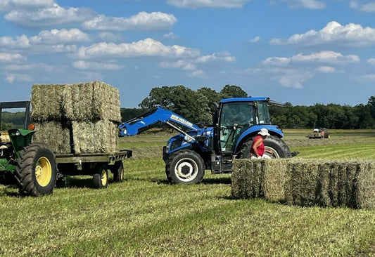 Friday Farm Update - Makin' Hay, Leg Quarters and Airline Breasts