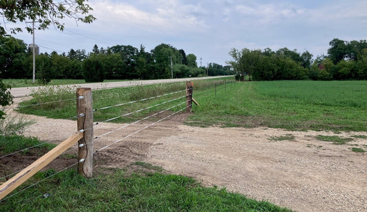 Fenced In. Beef Restock. Egg Shipping Begins. Alfalfa Music Fest.