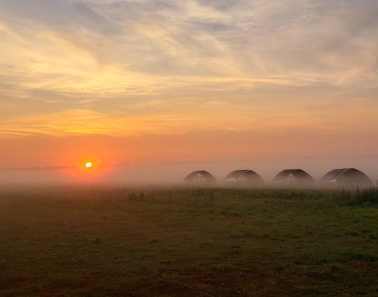 Friday Farm Update - Finally Some Rain + Corn Chowder