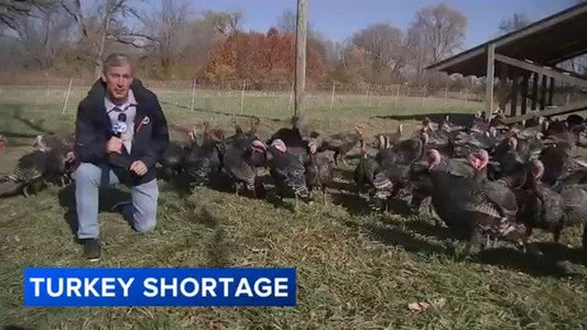 NO TURKEY SHORTAGE, Sample Wild-Caught Salmon Sunday, Beef Restock