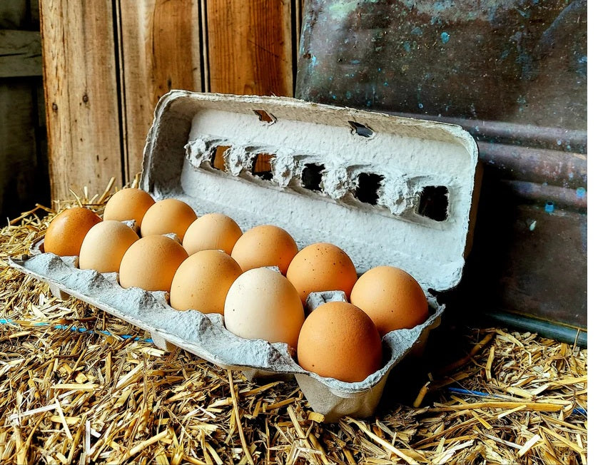 Pasture-Raised Organic Eggs - Shipping Only 4-Pack