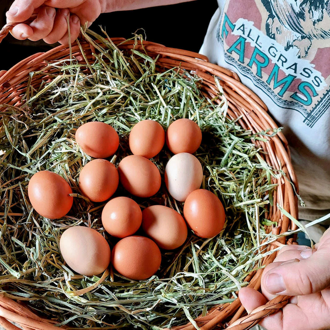 Pasture-raised Organic No Corn/Soy Eggs - All Grass Farms